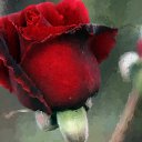 ���� �������, �������, 63 ���� - ��������� 1 ������� 2021 � ������ ���� ����������