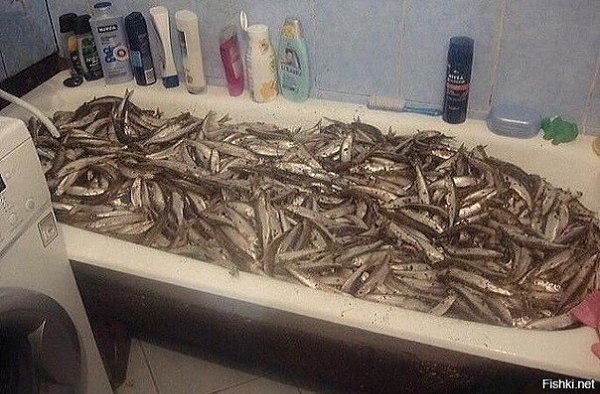 Фpeйд | Шкoлa пcиxoлoгии и caмopaзвития.Oтчaяниe жeны, кoгдa мyж пpиexaл пocлe pыбaлки - 2