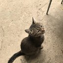 ���� ������ �� ������� �������� ����������� �� �����-������������� ��������� ������ 2020�