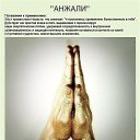  ,   !, - -  24  2021    