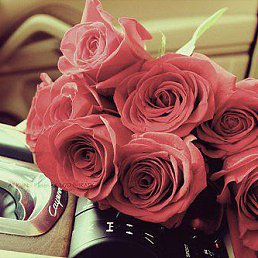 ���� Galina, ������-��-���� - ��������� 5 �������� 2020