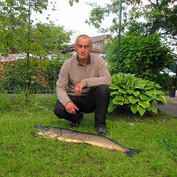 ���� ������, �����, 54 ���� - ��������� 7 ������ 2021