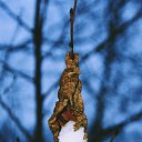 ���� Xacco, ������, 54 ���� - ��������� 19 ����� 2021 � ������ �@photoxacco�