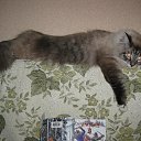 ���� �����, �����������, 69 ��� - ��������� 5 ������ 2021 � ������ ������ ��������