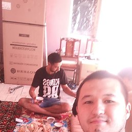 , 33, 