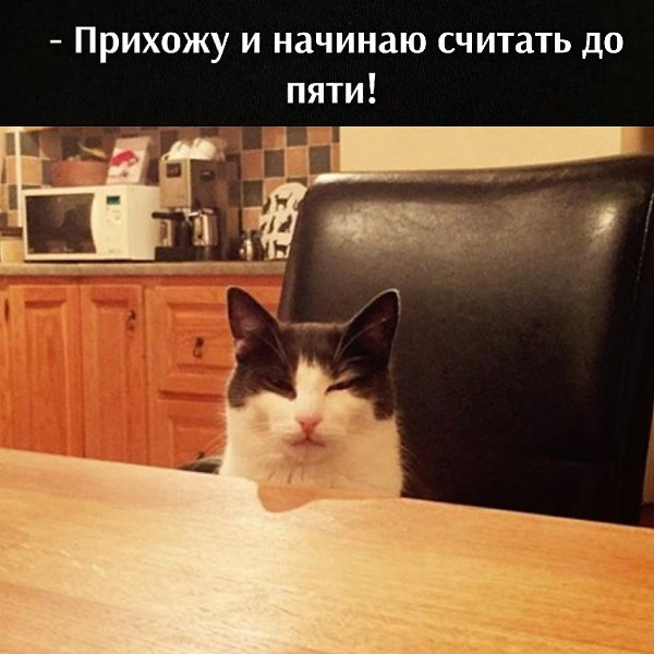 ��� ���� � ����� �� �� - 13 ����� 2021 � 09:34 - 2