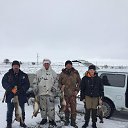  ,  , 52  -  23  2020    