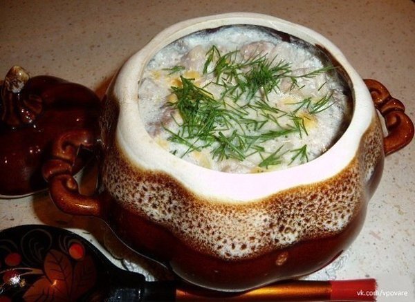 ТОР - 7 Вторые блюда в горшочках.1. Горшочки с мясом, фасолью и грибамиИнгредиенты500 г говядины ... - 6