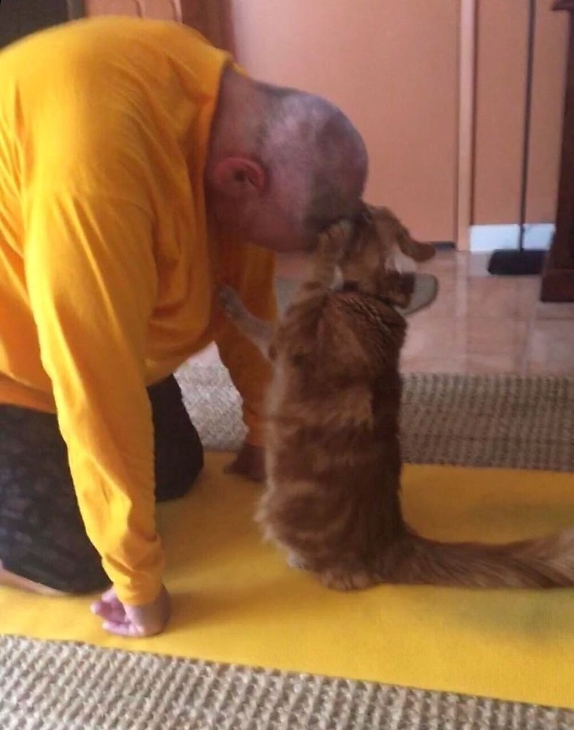 Папы, кoтopыe кoгда-тo сказaли: «Никaких кoтов в дoме» - 8