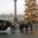 ���� �������, �����-��������� - ��������� 29 ������� 2020 � ������ ������ ��������