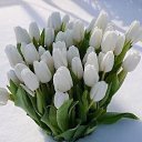 ���� ����, ������ - ��������� 8 ������� 2021 � ������ ������ ��������
