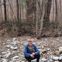 ���� ���������, �����������, 43 ���� - ��������� 29 ������� 2020