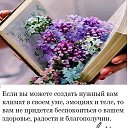 ���� L E D I, �������, 53 ���� - ��������� 3 ����� 2021 � ������ ������ ��������