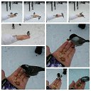 ���� �������, ������������ - ��������� 21 ������ 2021 � ������ ���� ����������