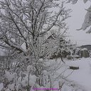 ���� ����, ����, 72 ���� - ��������� 24 ������� 2021 � ������ ����� 2021�