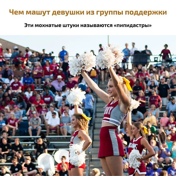 BEST | , ,  - 22  2021  16:18