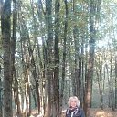 ���� ����, �������� - ��������� 14 ������� 2020 � ������ ���� ����������