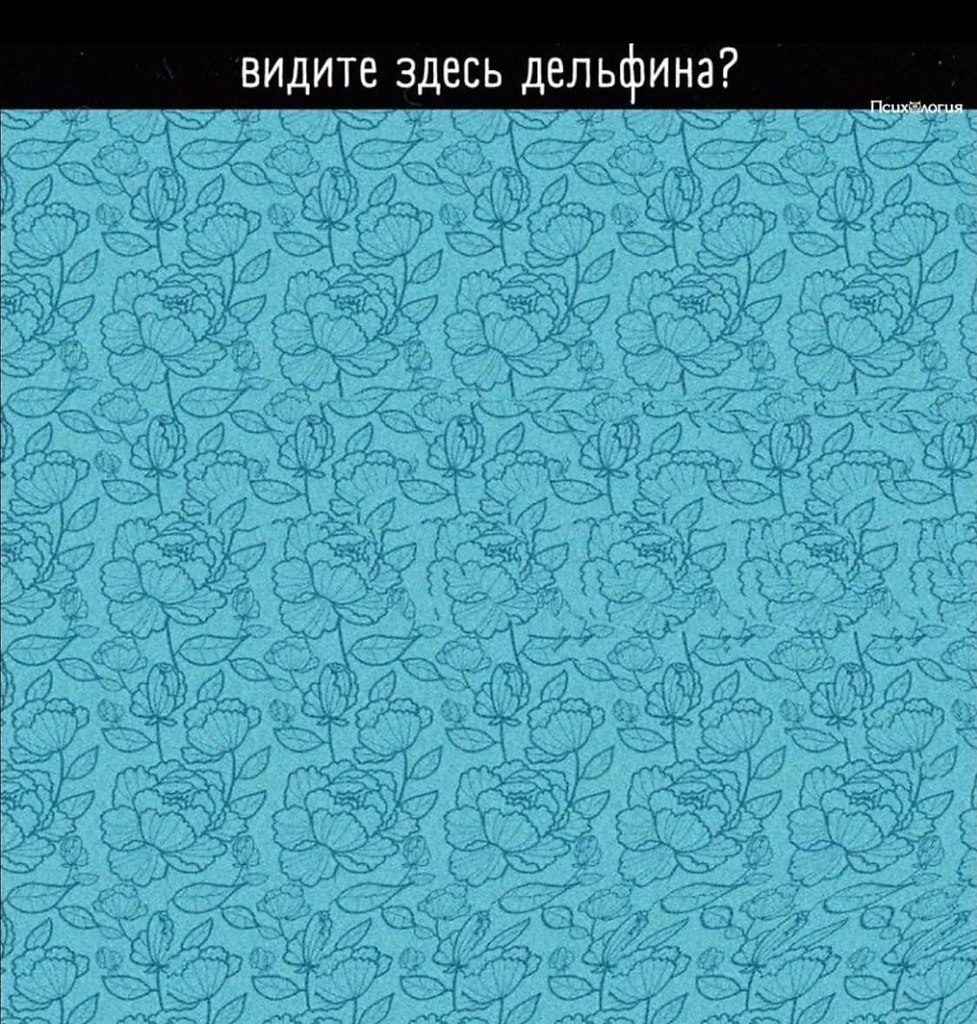  | ,  - 17  2020  18:36