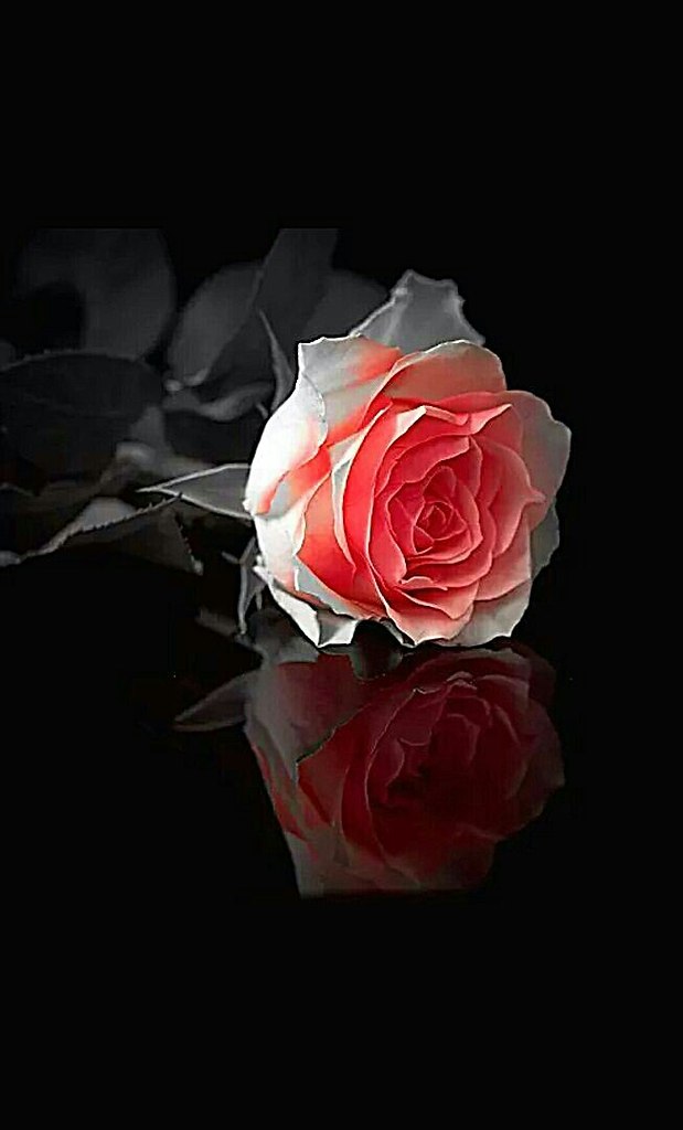   ,    . - 3  2020  16:21