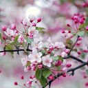���� ��������, ������ - ��������� 6 ������� 2020 � ������ ������ ��������