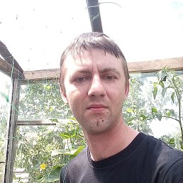 Sat, ����, 41 ���