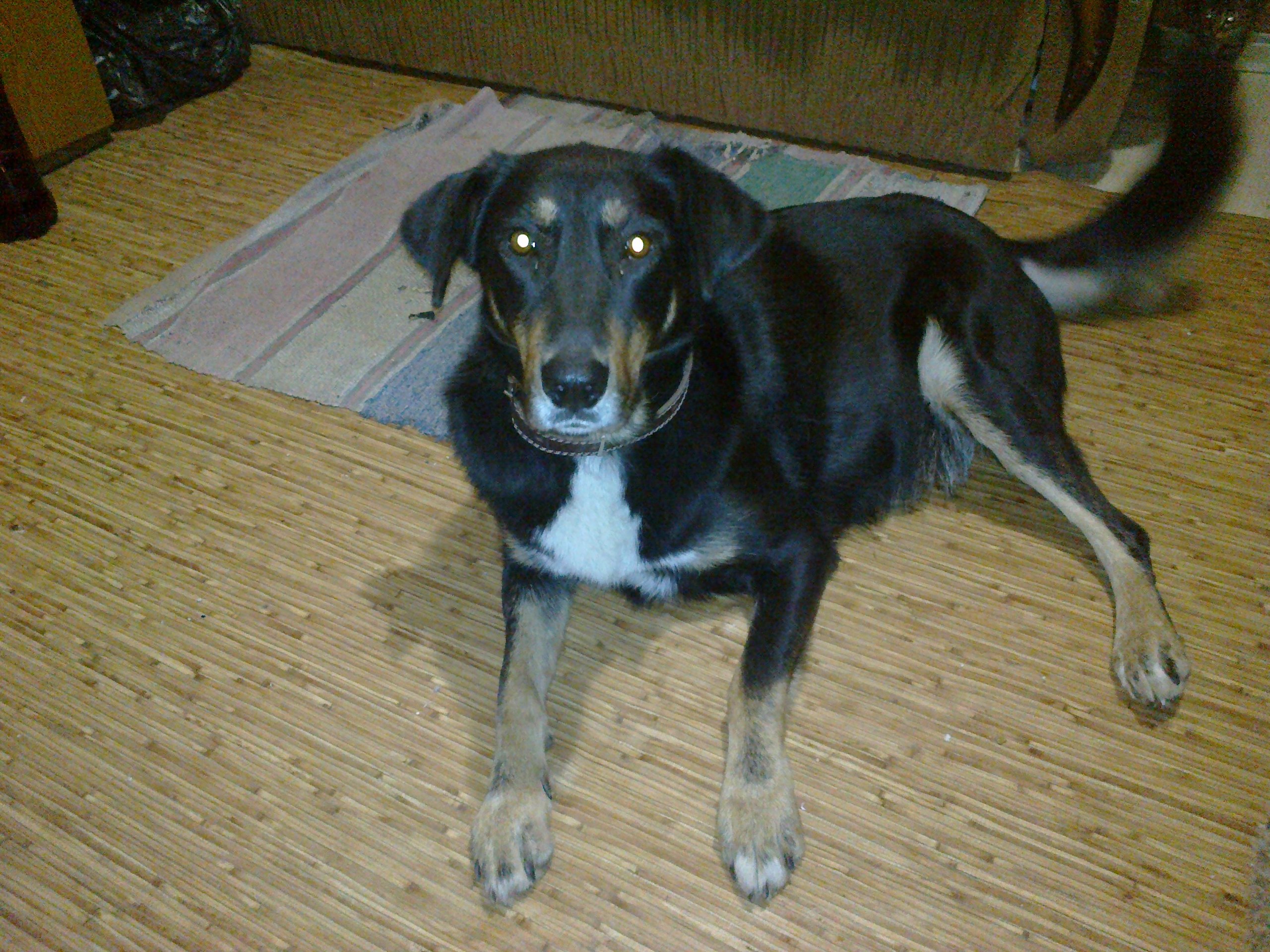 ����, Ÿ ������� ���������� ��������. -������� � ����... -������ � ������� �� ����� -���� �� ������� ...