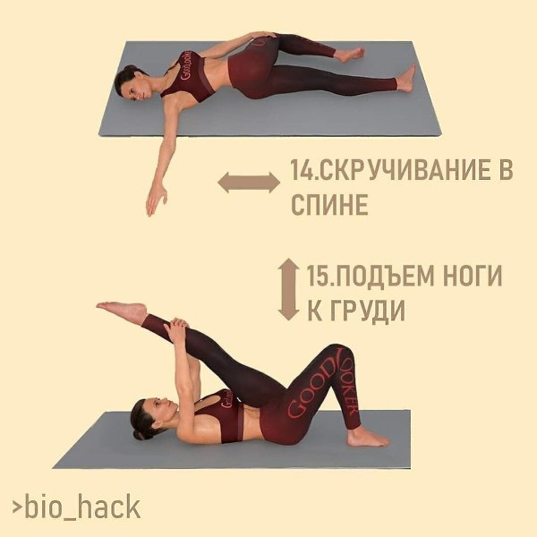 p  c  c e - 6