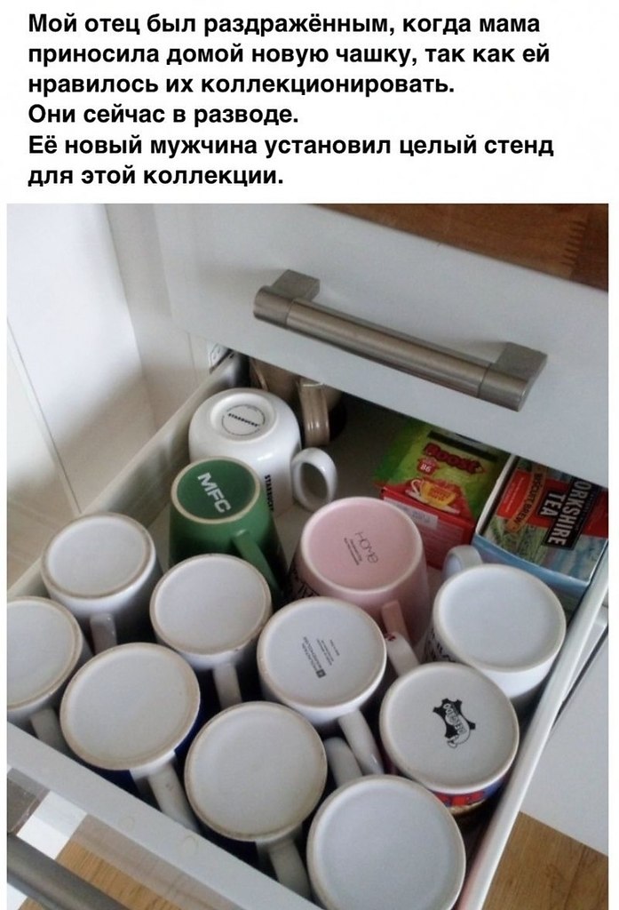 ��� ����� ������ ��������