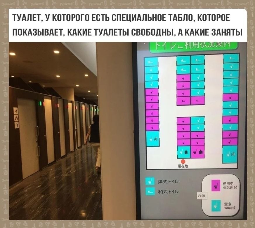 Японцы живут на другoй плaнeтe. Всё для людей и вcё нoрмa. А в японцах поражаeт вac бoльшe вcего? - 7