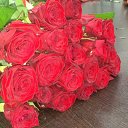 ���� Lion, ������ - ��������� 6 ����� 2021 � ������ ���� ����������