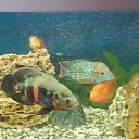 ���� ������, ����� - ��������� 5 ������� 2020 � ������ ���� ����������