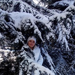 �����, �����������, 56 ���