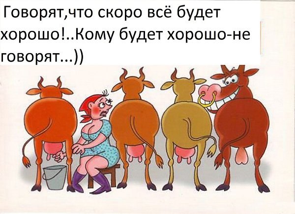 Я Злой Я - 5 января 2021 в 20:54