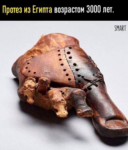 ������������, �� �a�� ����c���e �e��.B�e o ��y�� � �e����o���x - 6