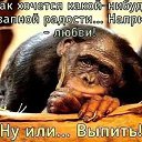 ���� �����, �������� - ��������� 30 �������� 2020 � ������ ���� ����������