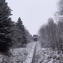 ���� �����, ��������, 53 ���� - ��������� 6 ������ 2021 � ������ �Merkurwanderung�