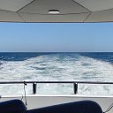 ���� ����, �����-���������, 51 ��� - ��������� 19 ������� 2020 � ������ ���� ����������