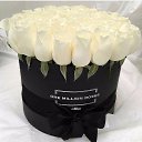  Stranger Wanderer, , 46  -  19  2021    