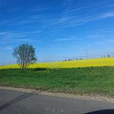 ����. 2020. ������.. �� ������� ���� ����������