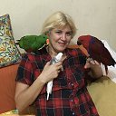 ���� ����������, ������, 57 ��� - ��������� 3 ������ 2020 � ������ ���� ����������