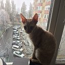 ���� �����, ����������, 51 ��� - ��������� 1 �������� 2020 � ������ ���� ����������