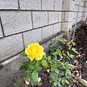 ���� Denis, �������� - ��������� 6 ������ 2020 � ������ ������ - ���� ))�