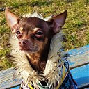 ���� *Tatiana*, ������������ - ��������� 4 ����� 2021 � ������ ���� ����������