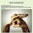  ,   !, - -  24  2021    