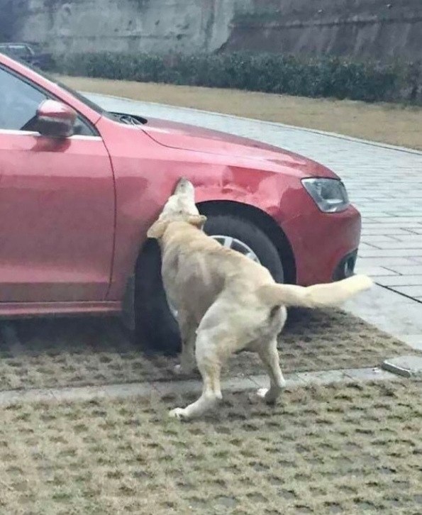     ,      