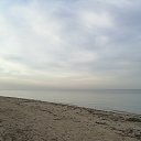 ���� �����, ���������, 55 ��� - ��������� 12 �������� 2020 � ������ ��������� 2020�