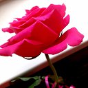���� �����, ������, 66 ��� - ��������� 30 ������� 2020 � ������ ������ ��������