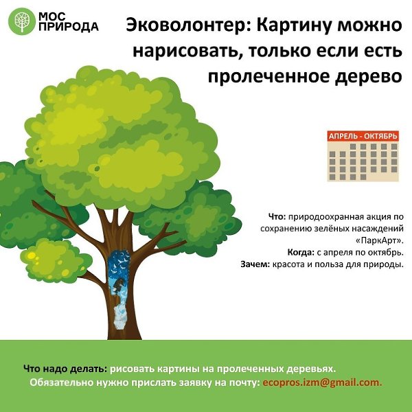 Считать птиц, вешать домики для белочек и кормить зайцев: как стать эковолонтером. Экологические ... - 9