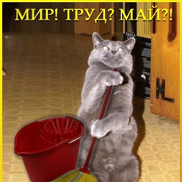 ������, ����, 43 ����