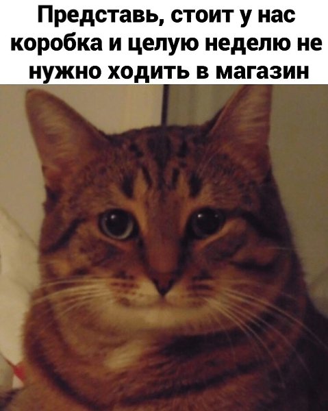 #@bon - 2